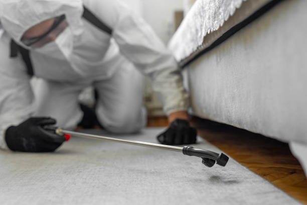 Professional Bed Bug Control technician working in Waukomis, OK