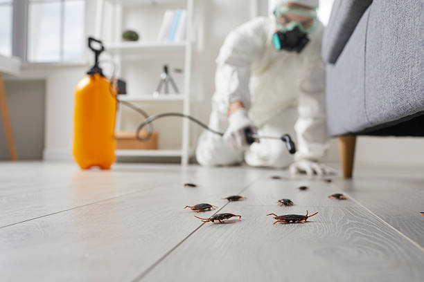 Trusted Termite Control service in Waukomis, OK - Nex Pest Control