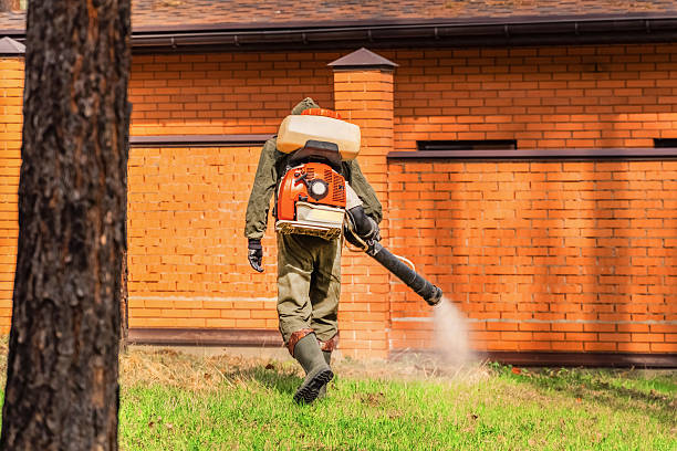 Trusted Cockroach Control service in Waukomis, OK - Nex Pest Control